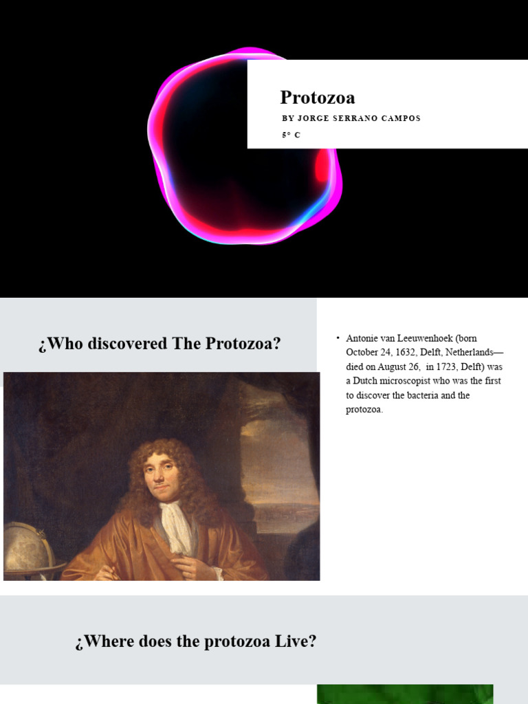 Discovery and Habitat of Protozoa | PDF | Protozoa | Bacteria