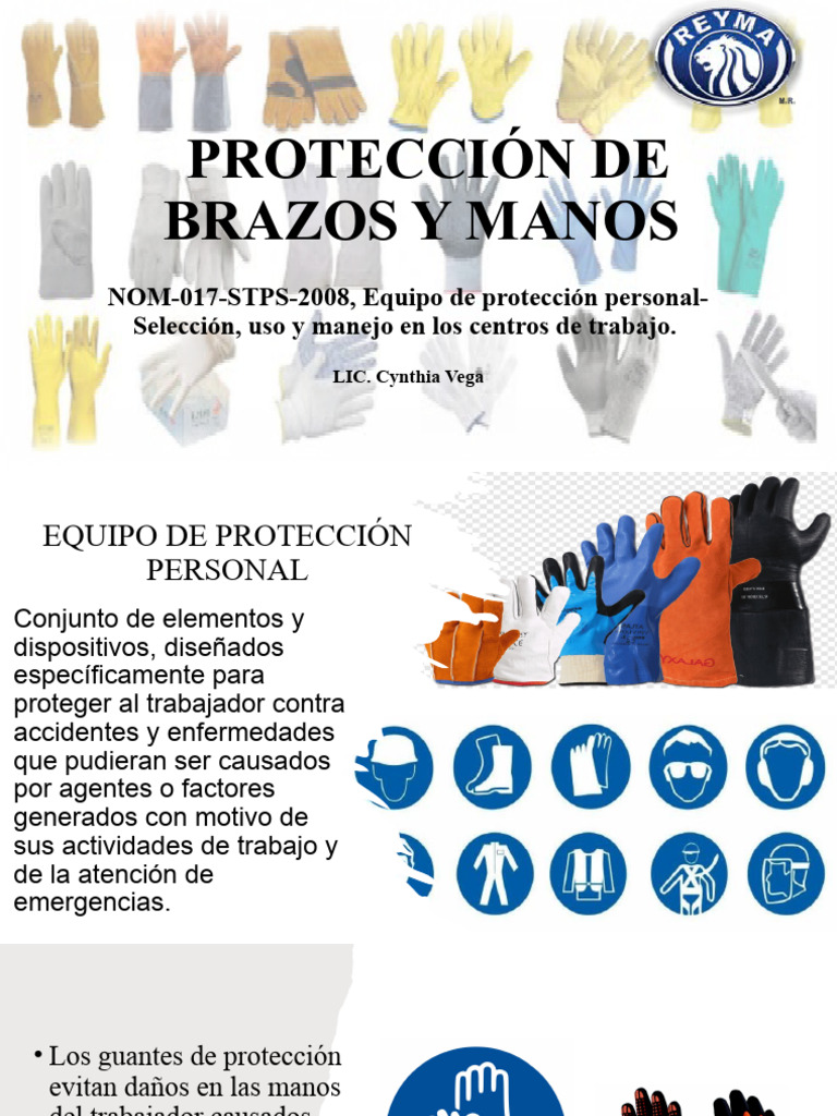 Protección de Brazos y Manos Cynthia | PDF | Guante | Poliuretano