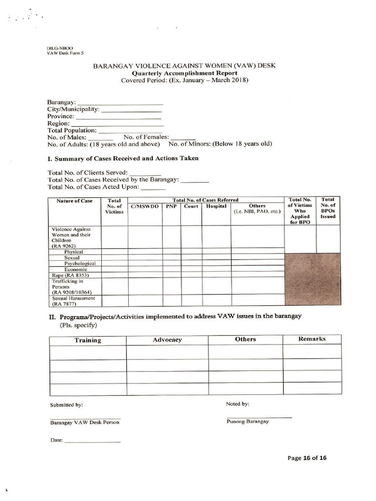 4.1.4 VAW Desk Summary Reporting Form 5 | PDF