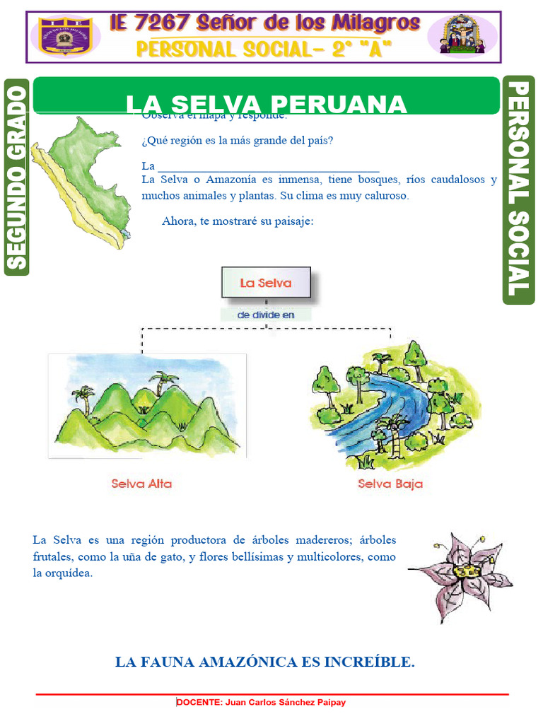 La Selva Peruana para Segundo Grado de Primaria | PDF | Hogar ...
