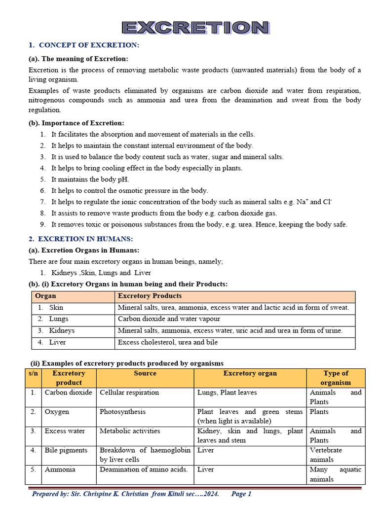 Understanding Human Excretion Process | PDF | Kidney | Excretion