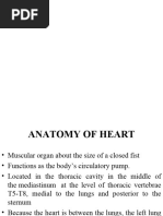 Anatomy and Function of the Heart | PDF | Heart Valve | Atrium (Heart)