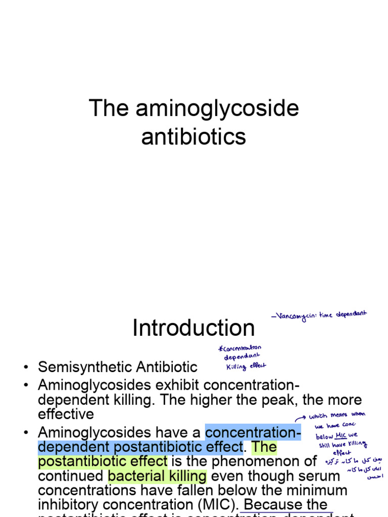 09 The Aminoglycoside Antibiotics | PDF | Pharmacokinetics | Drugs