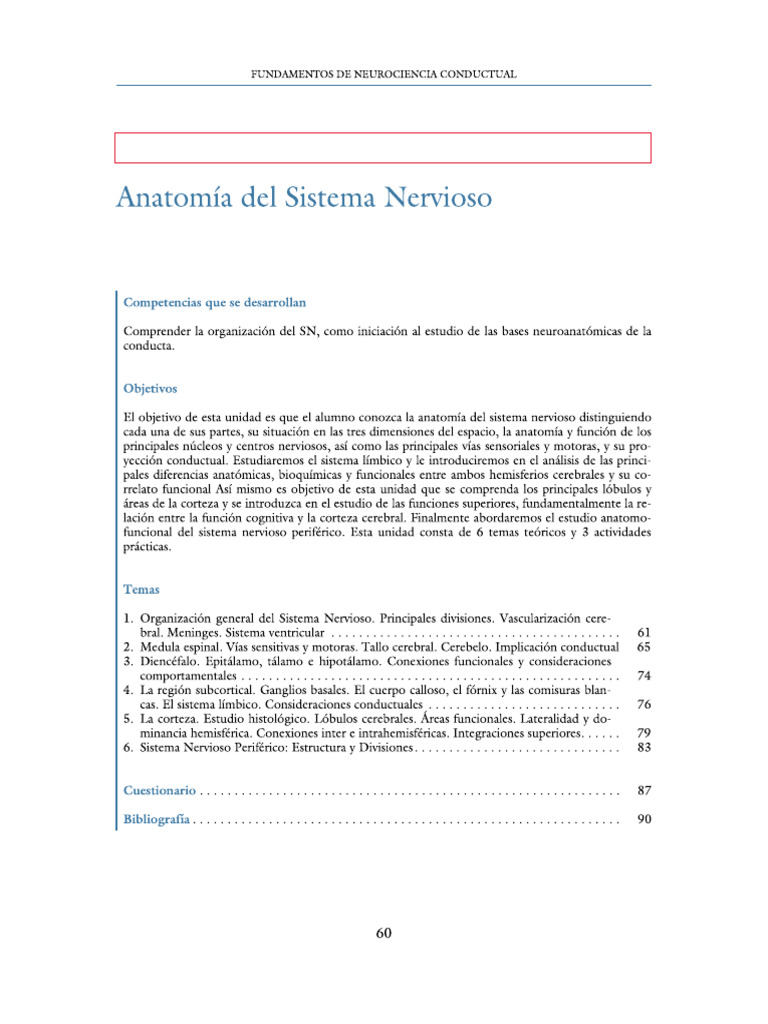 Anatomía Del Sistema Nervioso Pdf