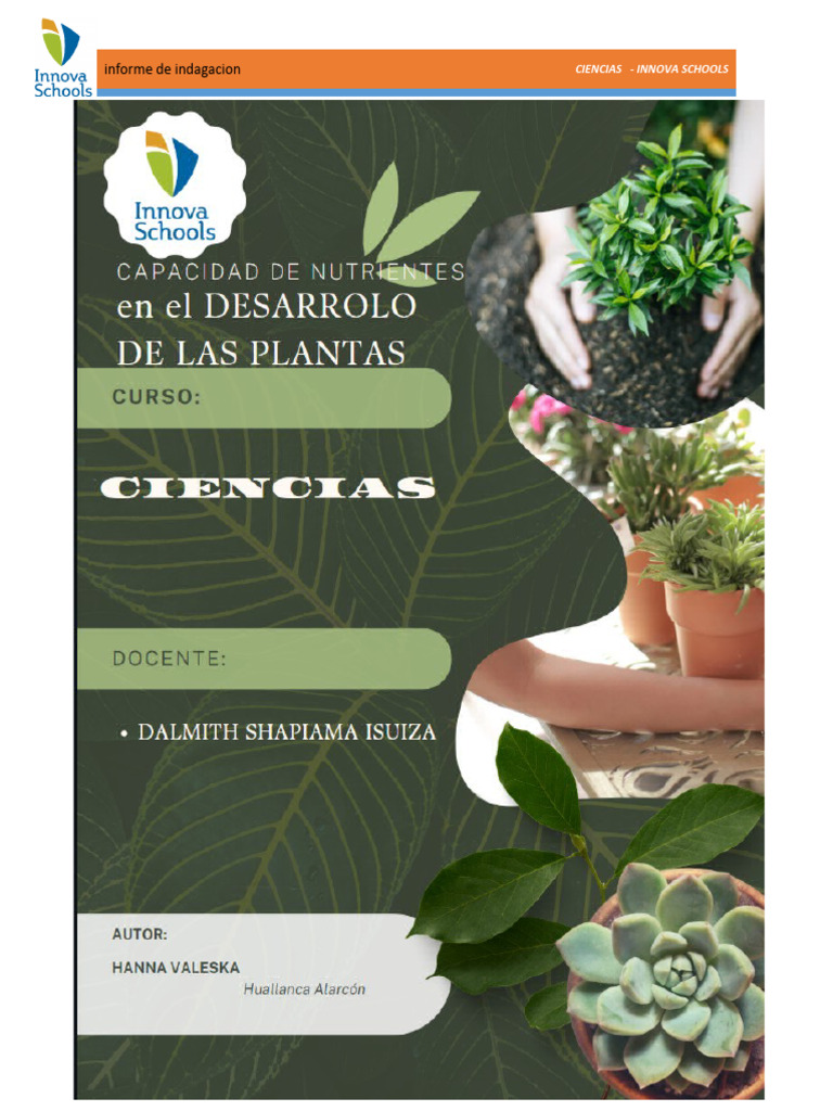 Ciencias Exquema de Indagacion Proyecto | PDF | Nutrientes | Plantas