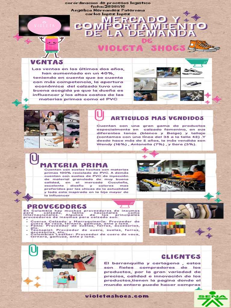 Infografia Del Mercado Y Comportamiento De La Demanda Pdf Calzado