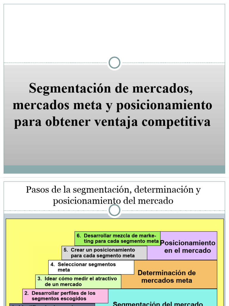 Segmentación y Posicionamiento de Mercados | PDF | Marketing | Producto ...