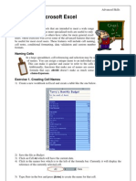 Using Microsoft Excel: Advanced Skills