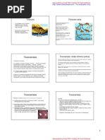 Download toxocara by Saira Siqueira SN74767783 doc pdf