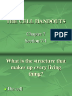 The Cell Handouts