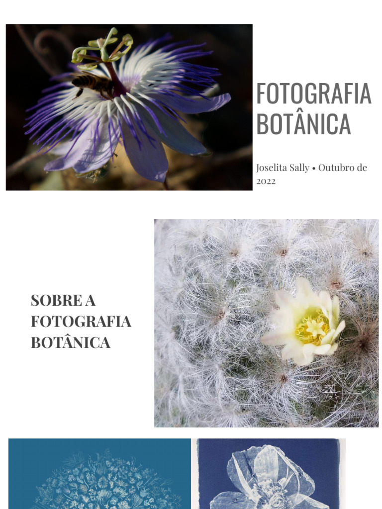 Fotografia Botânica: Técnicas e Dicas | PDF