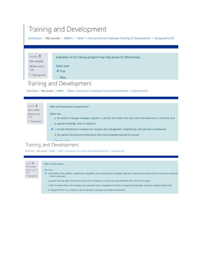 Training & Development - Assignment 1 1to3 | PDF