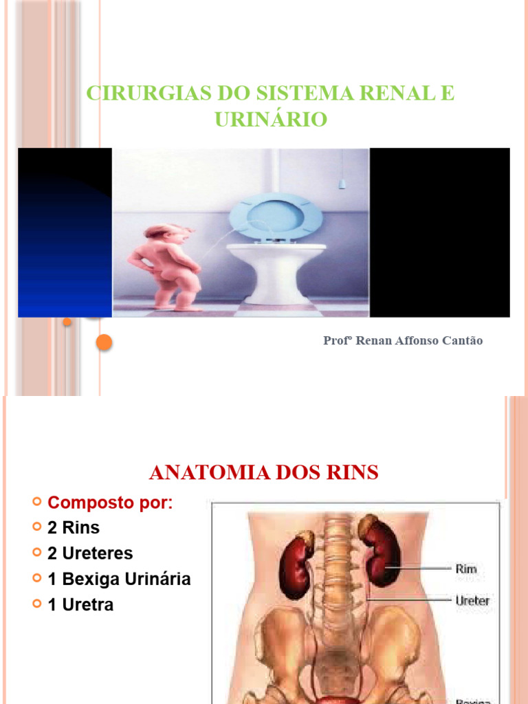 Cirurgia Do Sistema Renal | PDF | Rim | Medicina Clínica