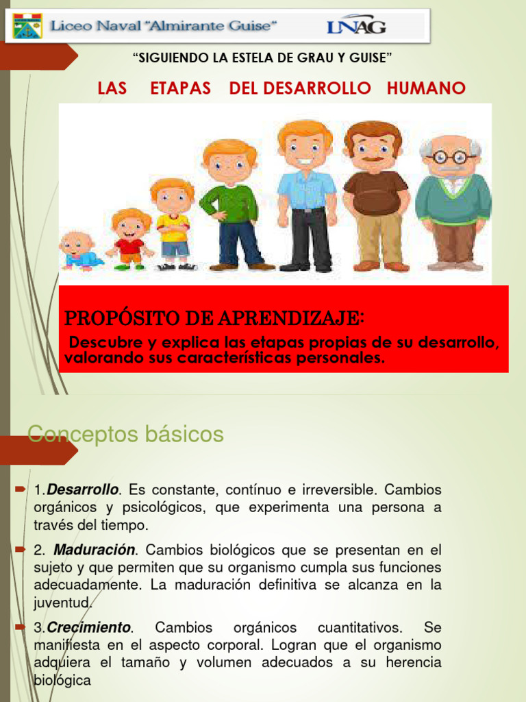Etapas del Desarrollo Humano | PDF | Adultos | Adolescencia