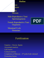 02 Fertilization, Game To Genesis Complete