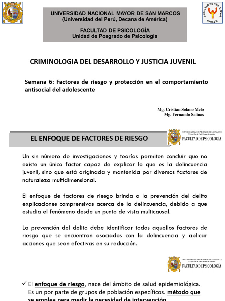 Factores de Riesgo y Protección Juvenil | PDF | Riesgo | Comportamiento