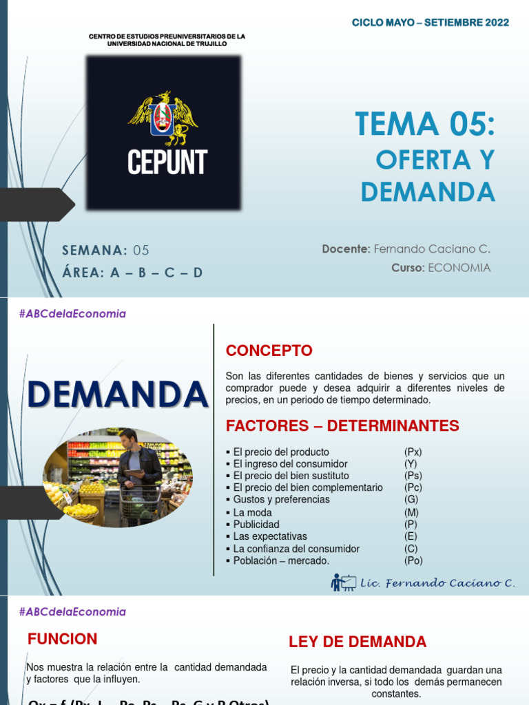 Oferta y Demanda en Economía | PDF | Oferta (economía) | La elasticidad ...