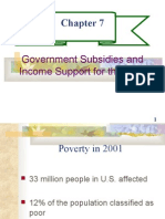 Government Subsidies and Income Support For The Poor