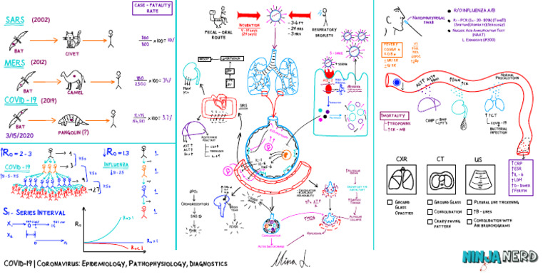 COVID-19: Medical Insights & Diagnostics | PDF | Medicine | Medical ...