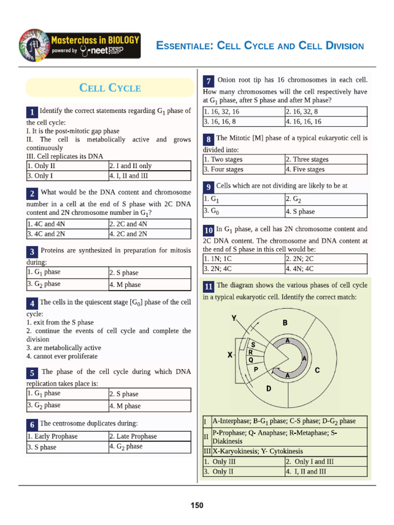 Masterclss Cell Cycle | PDF