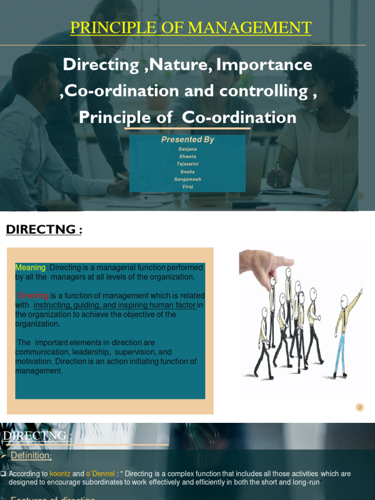 Directing and Coordination | PDF | Employment | Motivation