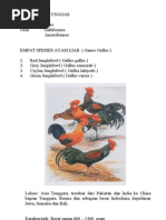 Download SISTEMATIKA UNGGAS by Bagas Satriya SN74781598 doc pdf