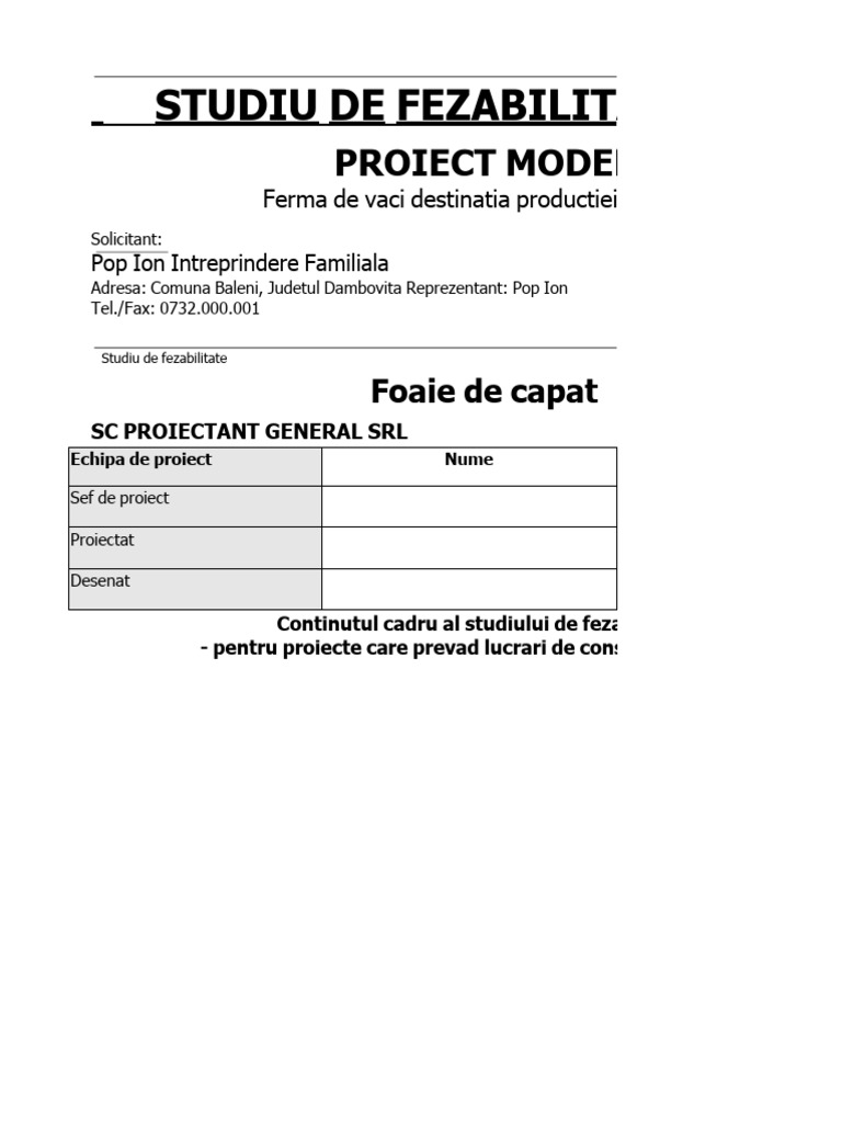 Studiu de Fezabilitate Proiect Model Abcdpdf PDF To Excel | PDF