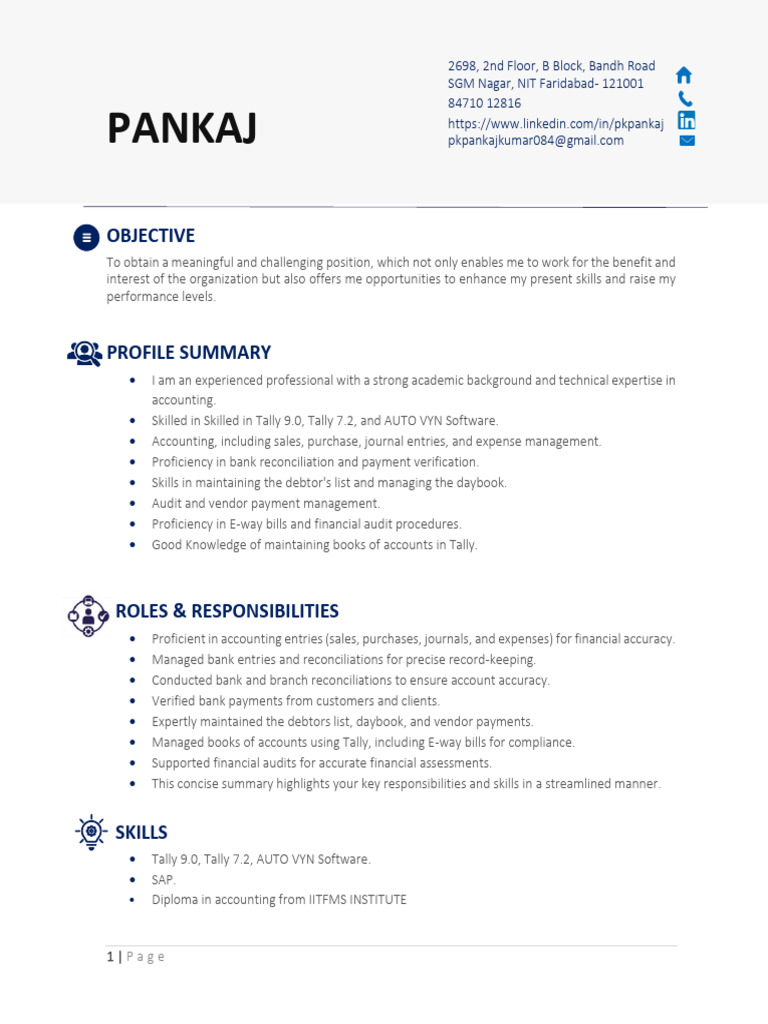 pankaj-cv-pdf-audit-business-economics
