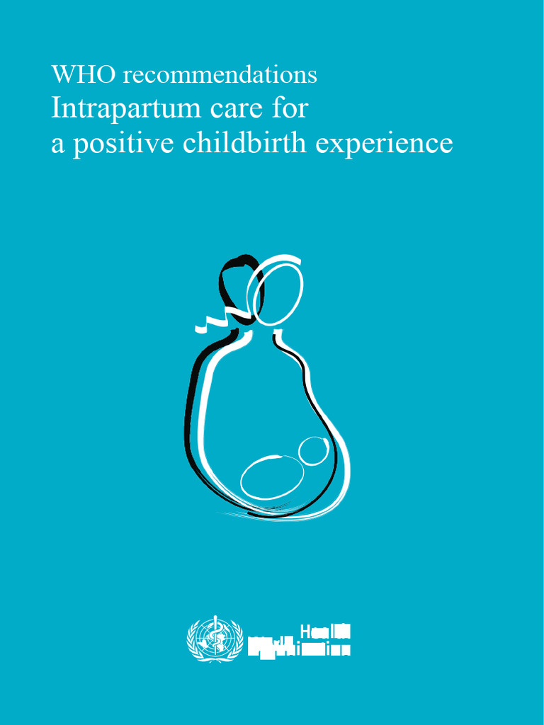 Who recommendation intrapartum care pdf childbirth midwifery