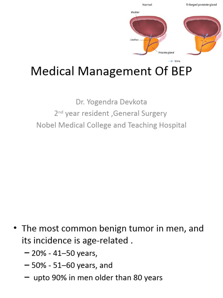 Photo inspiration: Visual Reference: Medical Management Of Benign Prostatic Hyperplasia Pdf