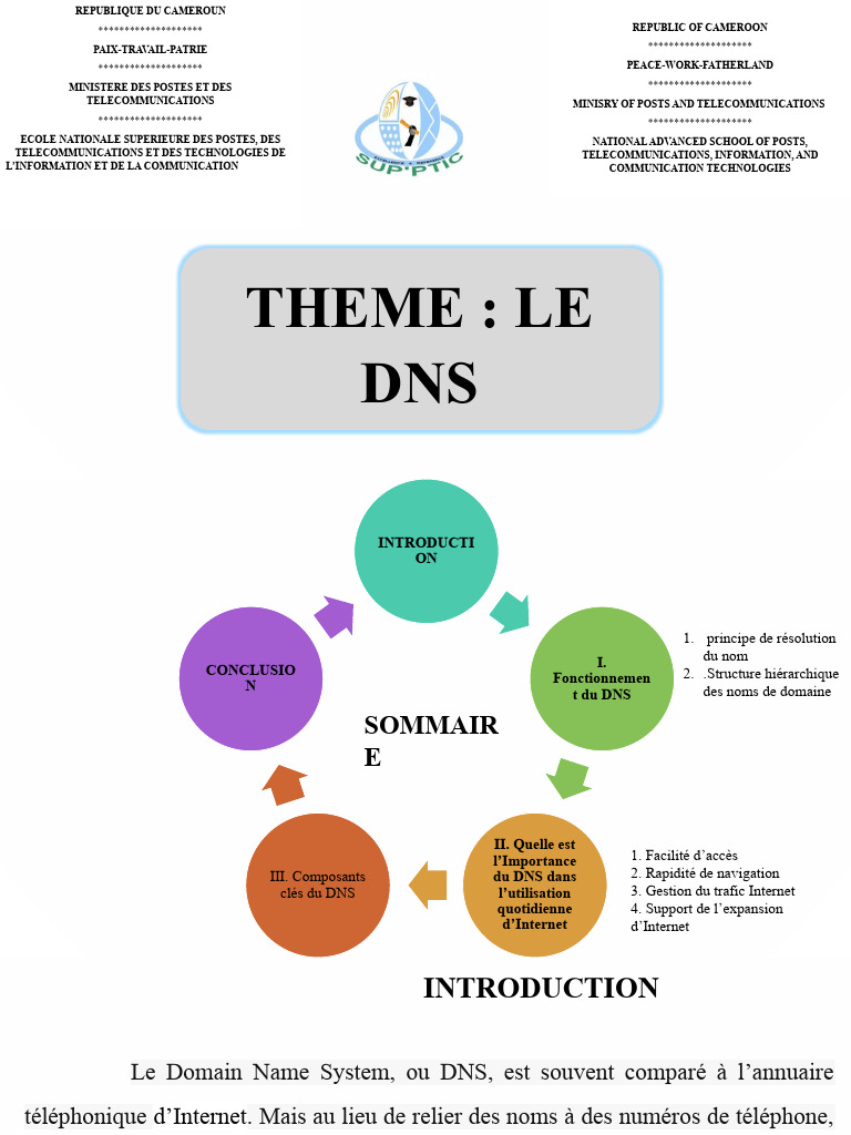 Comprendre le DNS et son Importance | PDF | Système de noms de domaines ...