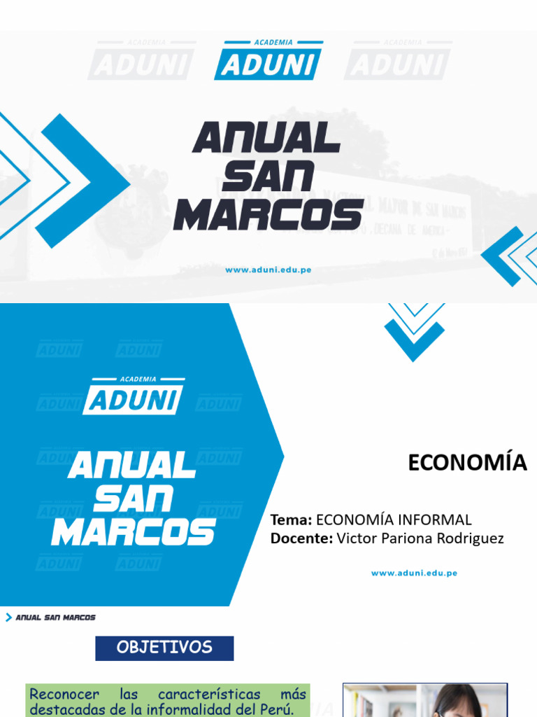 Causas y Consecuencias de la Informalidad | PDF | Empleo | Derecho laboral