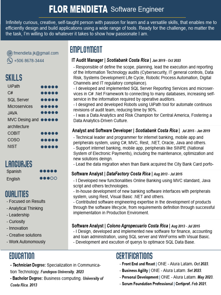 Software Engineer & IT Audit Manager | PDF | Software | Sql