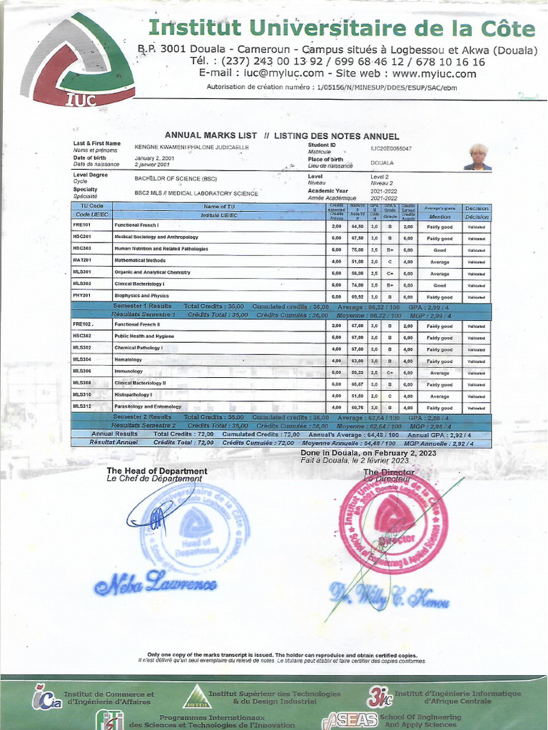 Annual Marks Level 2 | PDF