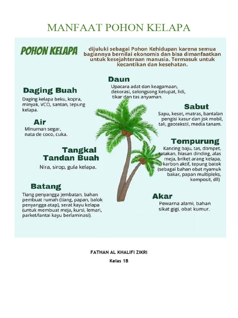 Manfaat Pohon Kelapa Pdf