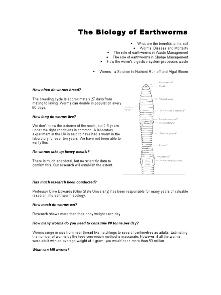 The Biology of Earthworms CS | PDF | Soil | Digestion