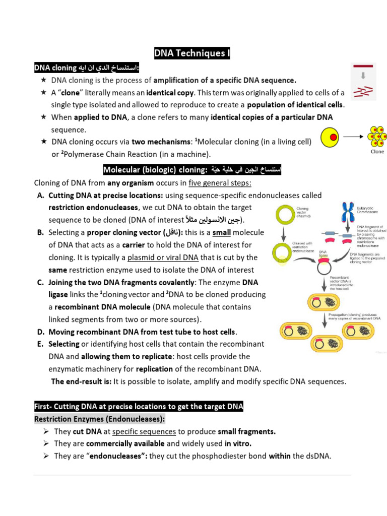 DNA Cloning Techniques Explained | PDF | Molecular Cloning | Plasmid