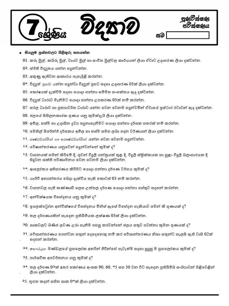 Grade 07 Revision | PDF