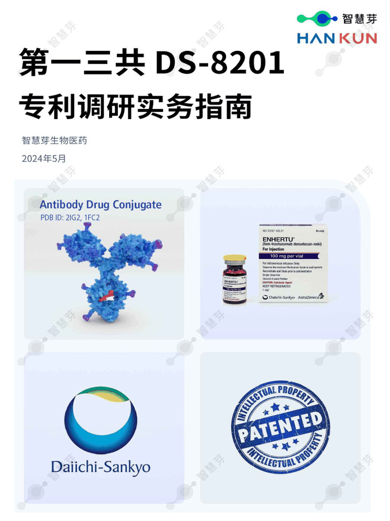 第一三共DS 8201专利调研实务指南 | PDF
