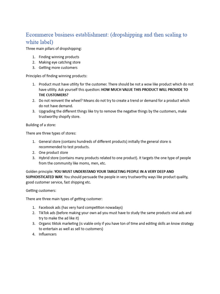 Ecommerce Business Establishment | PDF | Business