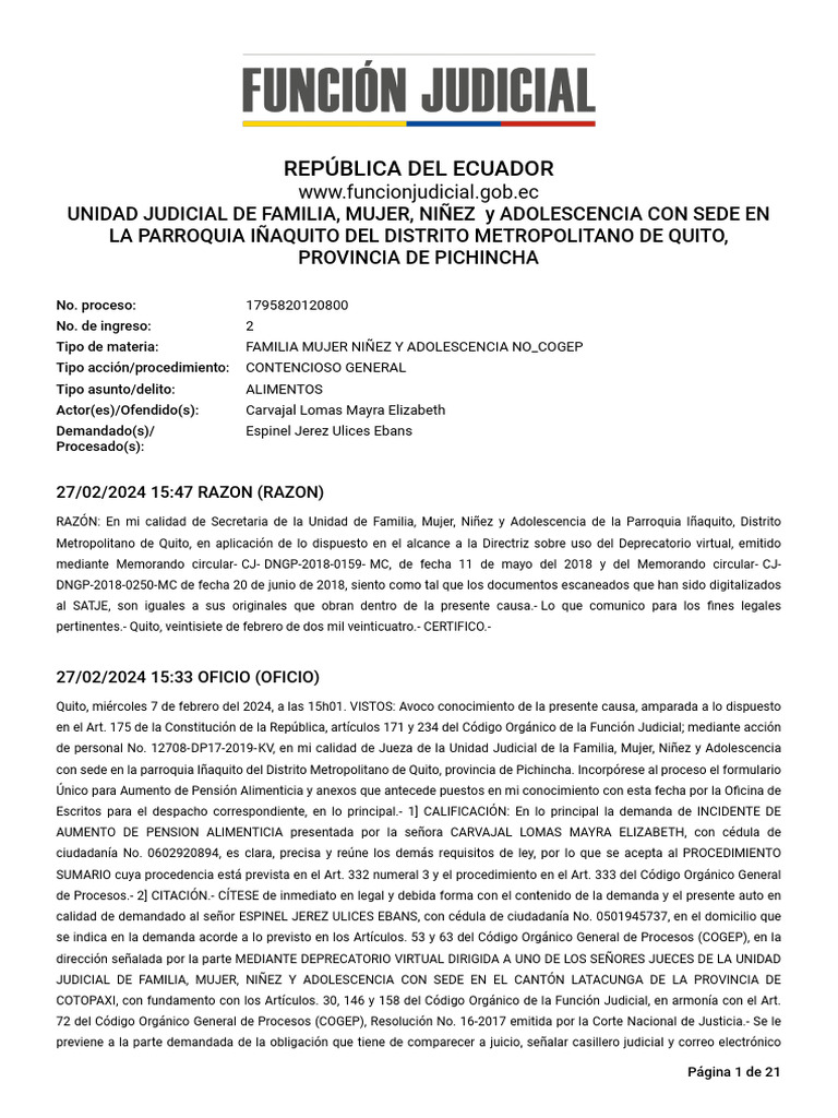 Expel 1795820120800 25880447 16042024 | PDF | Demanda judicial | Juez