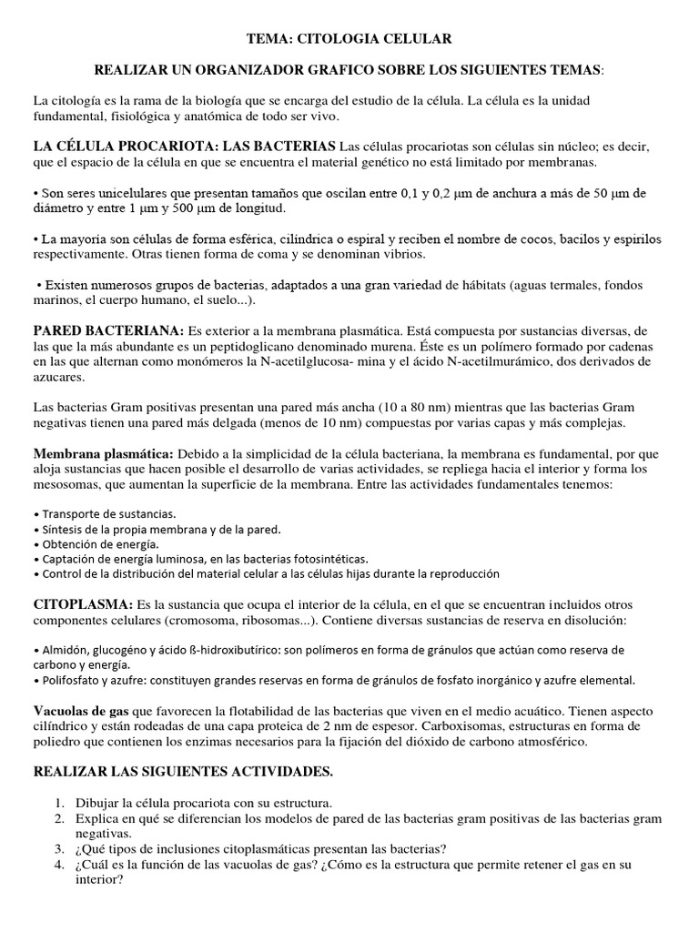 Estructura y Funciones de Células Procariotas | PDF | Las bacterias ...