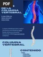 Anatomía de la Espalda y Columna | PDF | Vértebra | Articulación