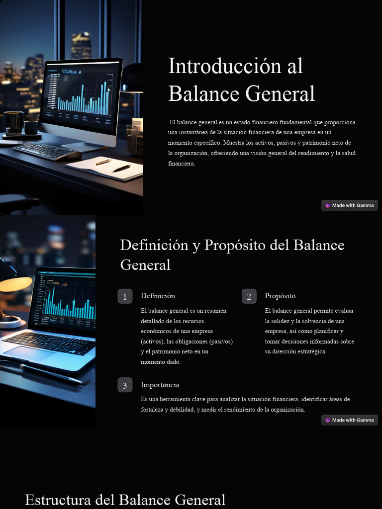 Guía Completa del Balance General | PDF | Hoja de balance | Business