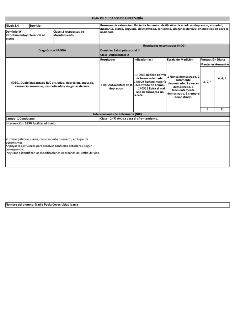 Formato Plan de Cuidados de Enfermería (RIESGO) | PDF | Depresión ...