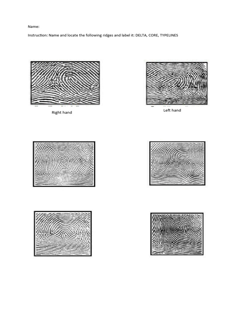 Ridges Identification: Delta, Core, Typelines | PDF