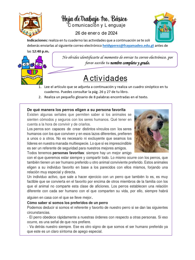 Hoja de Trabajo 1ro. Basico | PDF | Humano
