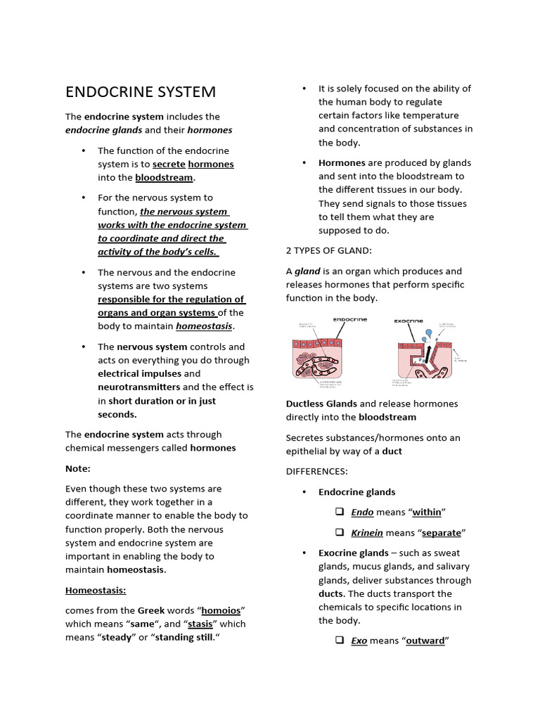 ENDOCRINE SYSTEM | Download Free PDF | Hormone | Endocrine System