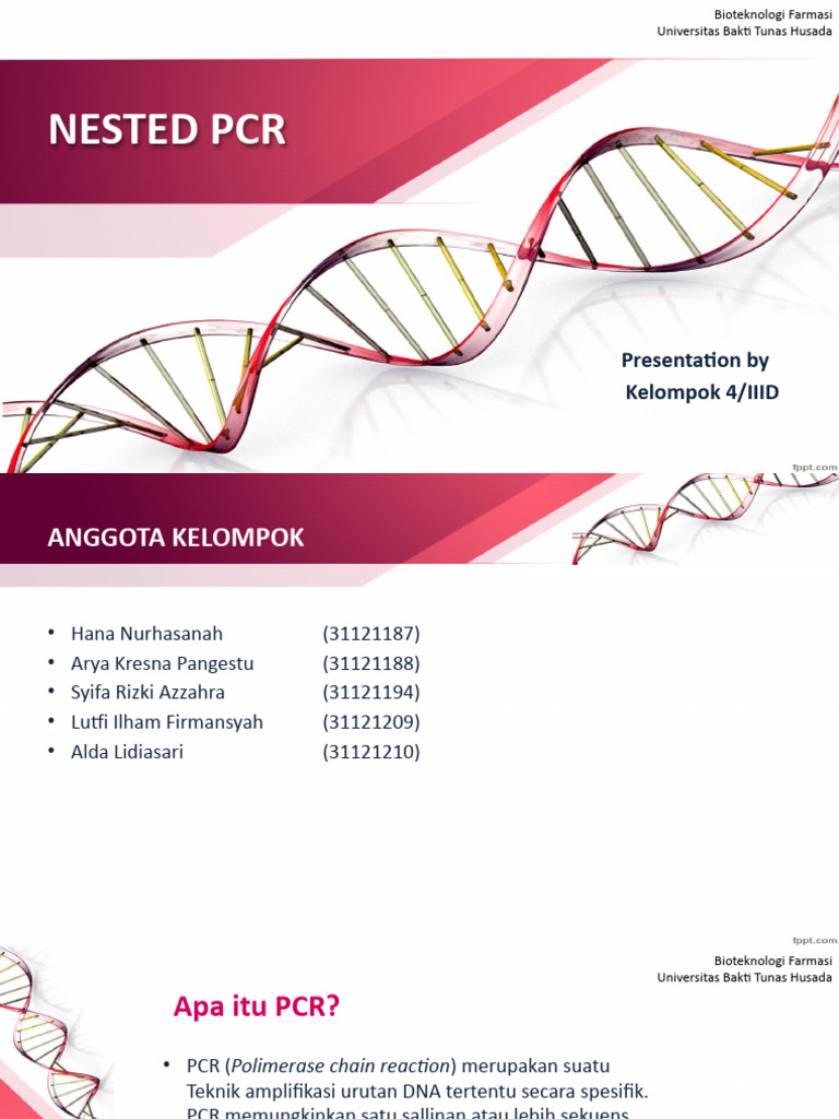 Nested PCR Presentation | PDF