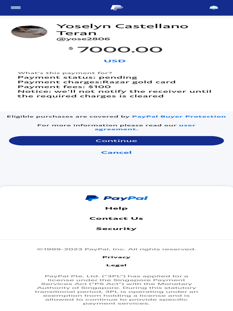 PayPal Make A Payment Preview 4 | PDF
